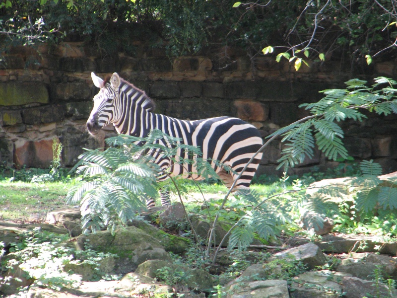 20100206 488.JPG